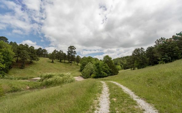 Mary Dotty Subdivision-Development : Old Hwy US 65, Omaha , AR 72662